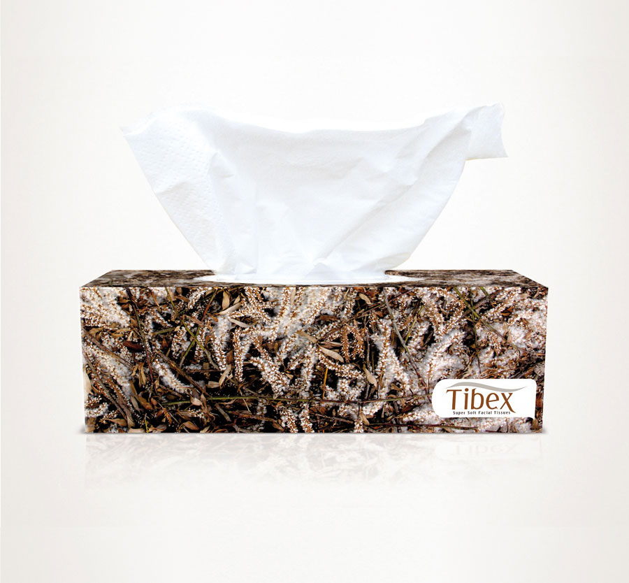 tibex_packaging_tissuebox_graphic_design_template_36