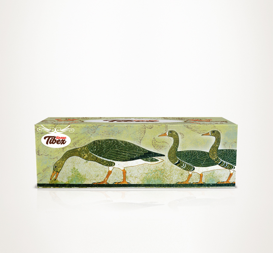 swan tibex tissue box design ni39