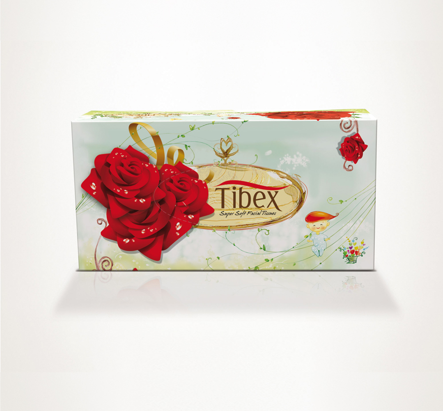 tibex tissue box design un15